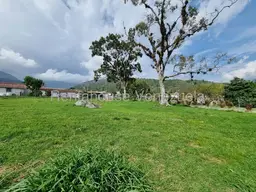 Vista 14