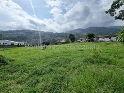 Vista 9