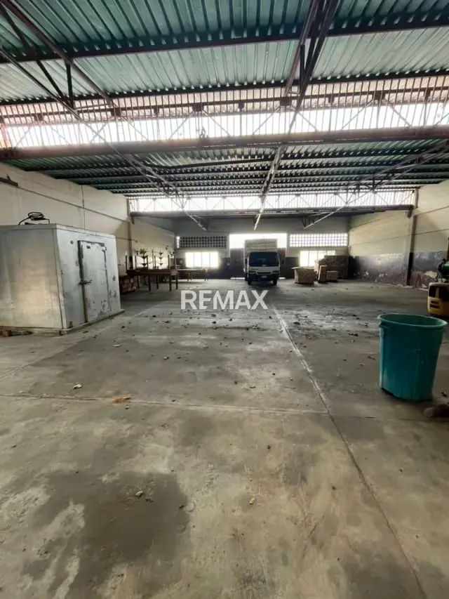 Amplio Galpón en Venta, Ubicado en el Sector La Hoyada, Municipio Carvajal, Estado Trujillo - 3