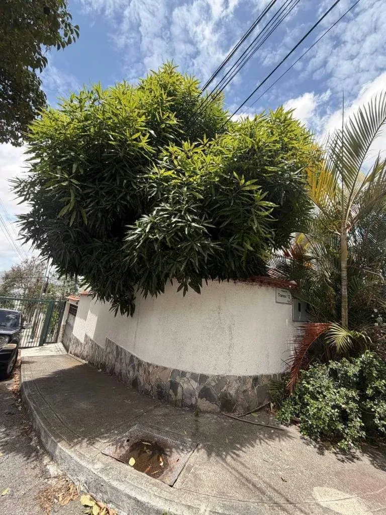 En venta Casa para Remodelar en Urb. Horizonte | El Marqués - 18