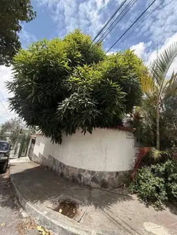 Vista 18