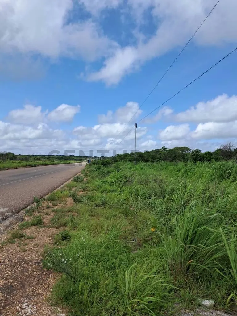 Terreno en venta Cantaura
