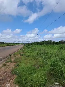 Vista 1