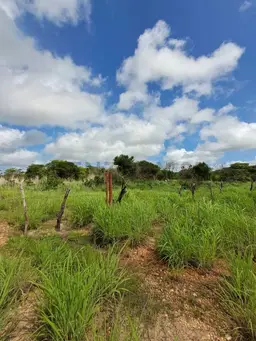 Vista 3