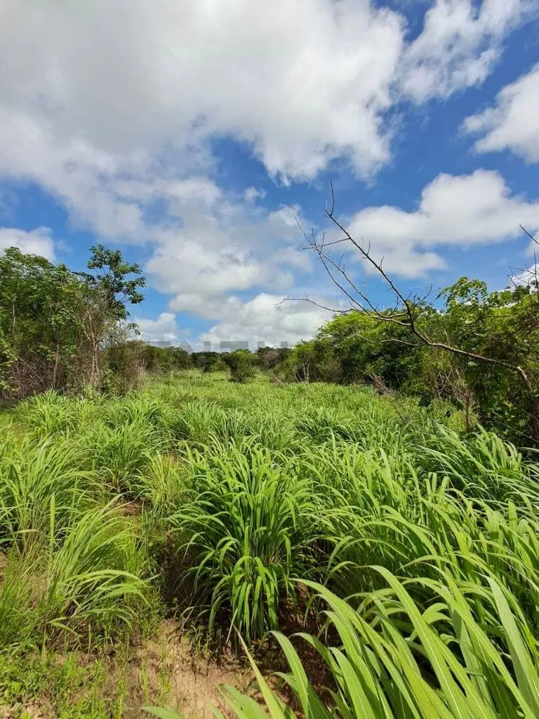 Terreno en venta Cantaura - 5