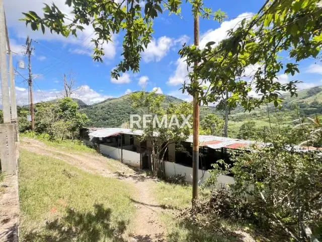 Finca productiva* DENOMINADA “LOS CAJONES” A orilla de la carretera principal de la vía Rubio, Kilómetro 10 Palma de Cera, Sector Las Vegas - 12