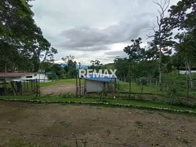 Venta Unidad de Producción en el Junco - 7