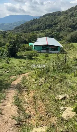 Vista 1