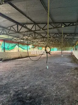 Vista 12