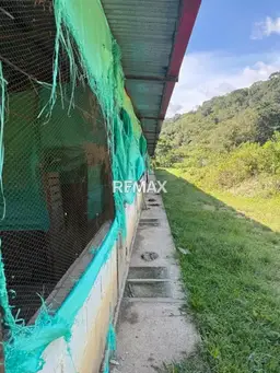 Vista 13