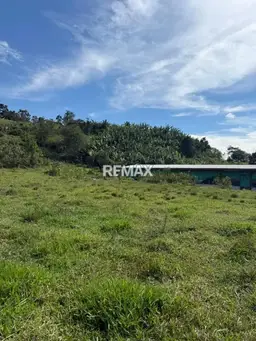 Vista 4