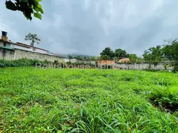 Vista 12