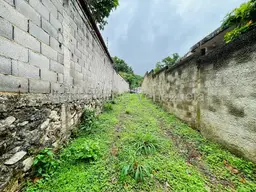 Vista 17