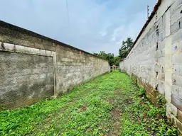 Vista 19