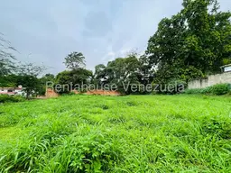 Vista 4