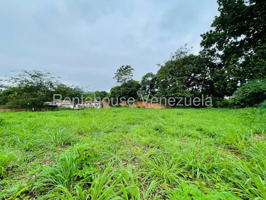 Terreno (Comercial) en Venta en El Limon, Aragua - 5