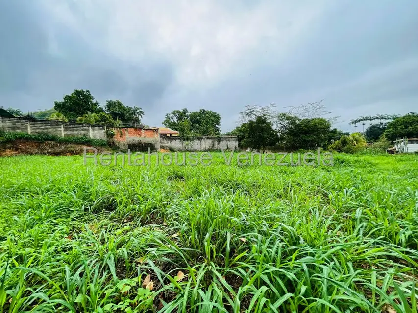Terreno (Comercial) en Venta en El Limon, Aragua - 9