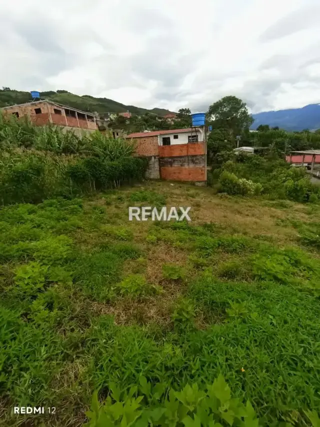 Venta de Terreno Ubicado en El Abejal de Palmira, Municipio Guasimos, San Cristóbal Estado Táchira, Sector Aldea El Abejal
