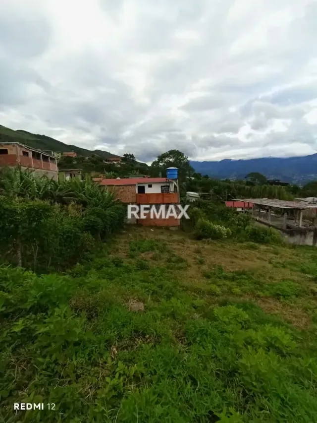 Venta de Terreno Ubicado en El Abejal de Palmira, Municipio Guasimos, San Cristóbal Estado Táchira, Sector Aldea El Abejal - 3