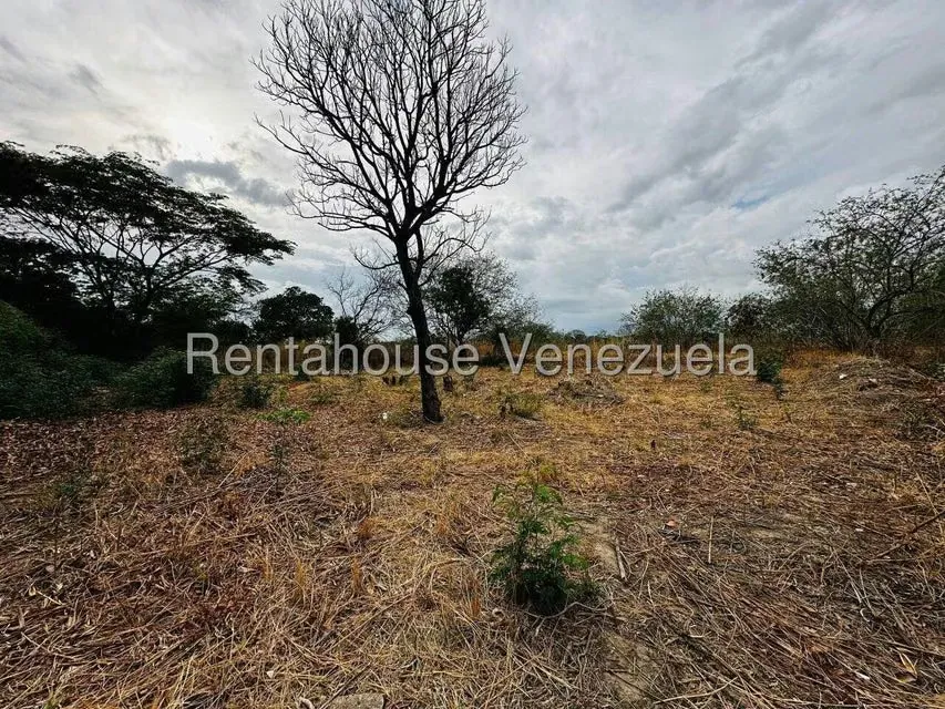 Casa (1 Nivel) en Venta en Corinsa, Aragua - 38