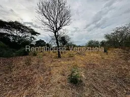 Vista 38