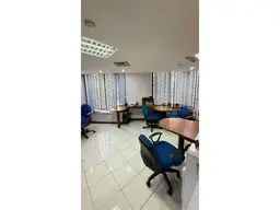 Vista 19