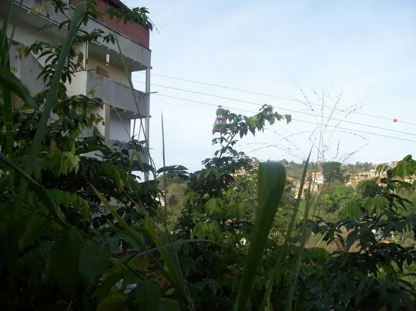 Terreno (Residencial) en Venta en Mariche, Distrito Metropolitano - 12