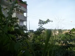 Vista 12