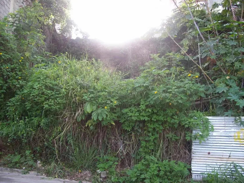 Terreno (Residencial) en Venta en Mariche, Distrito Metropolitano - 16