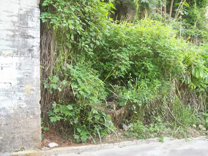 Terreno (Residencial) en Venta en Mariche, Distrito Metropolitano - 18