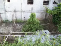 Vista 4
