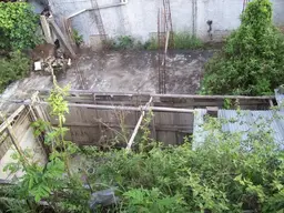Vista 5