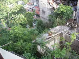 Vista 6