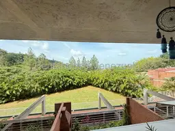 Vista 19