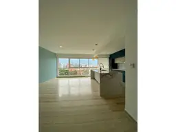 Vista 1