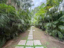 View 15