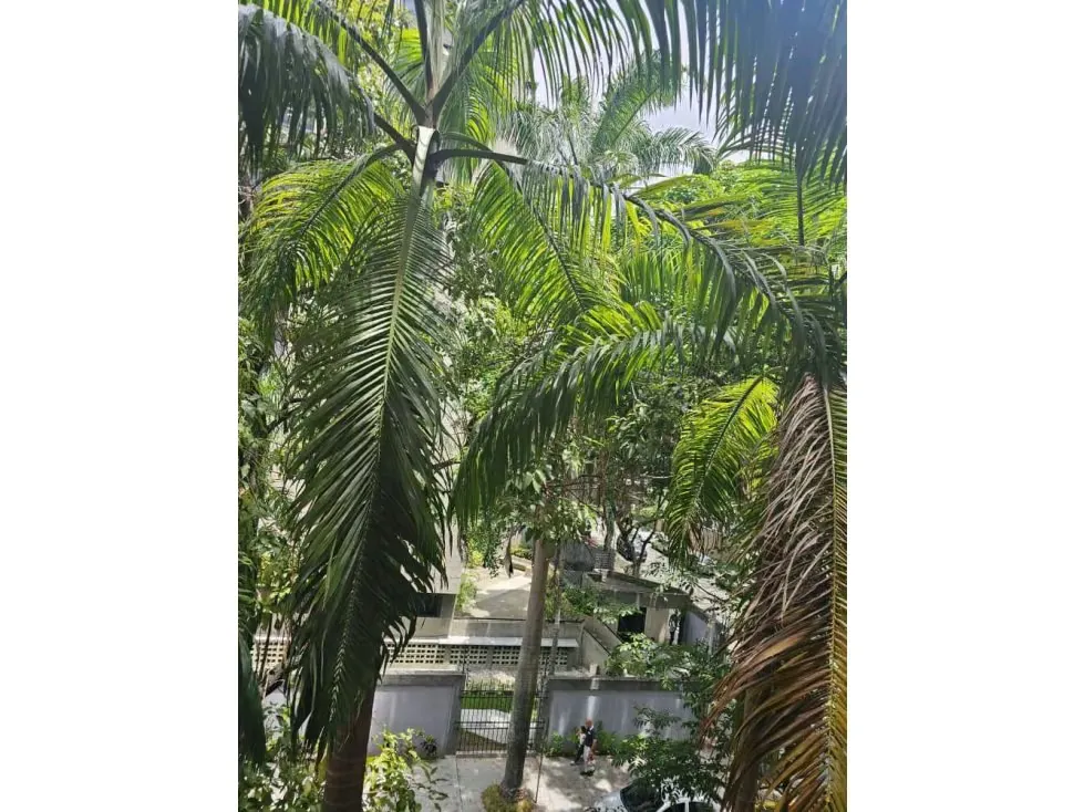 Alquilo apartamento tipo ejecutivo 56m2 El Rosal 8608 - 24