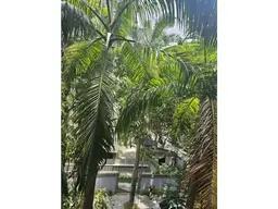 View 24
