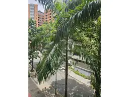 View 25