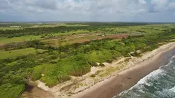 View 3