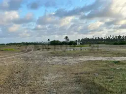 View 4