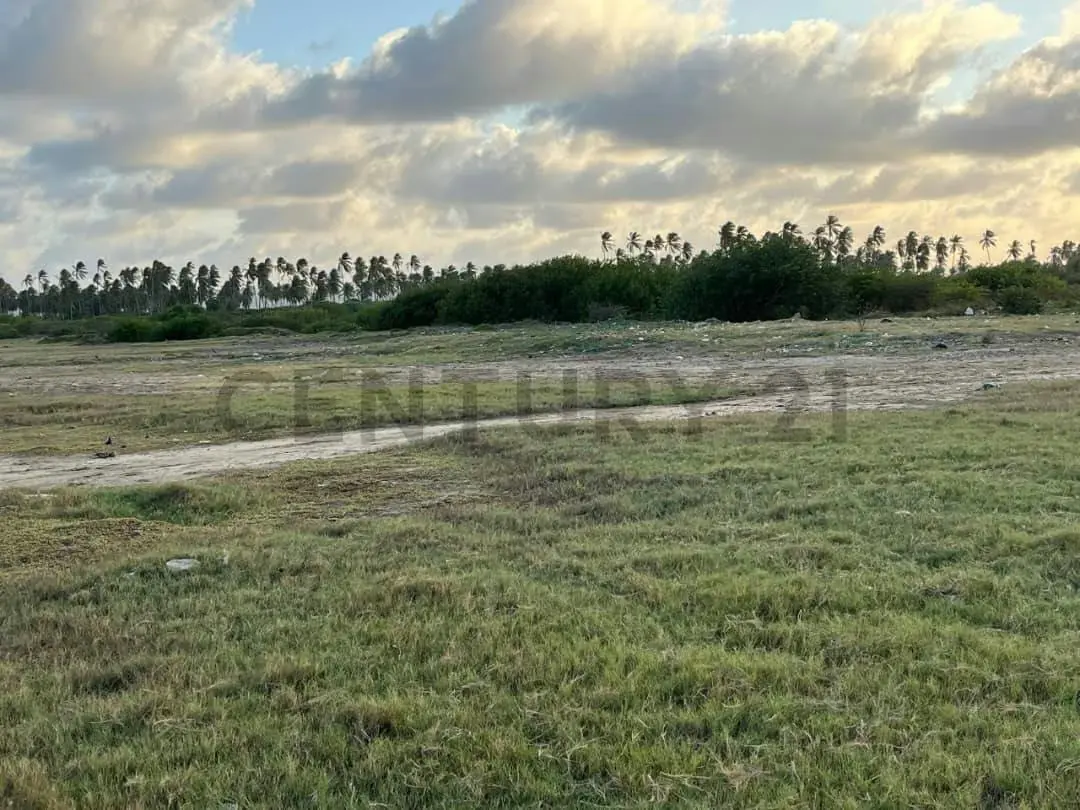 Terreno Turistico a Orilla de Playa en Chichiriviche Falcon - 5