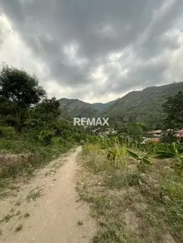Vista 5