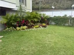 Vista 3