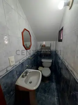 Vista 5