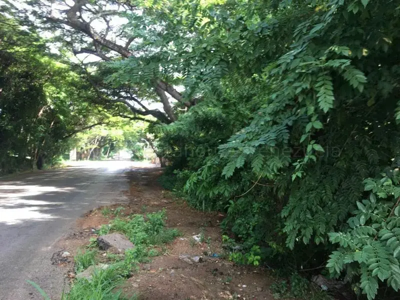 Terreno (Comercial) en Venta en La Asuncion, Nueva Esparta - 2