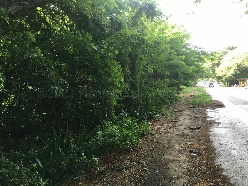 Terreno (Comercial) en Venta en La Asuncion, Nueva Esparta - 3