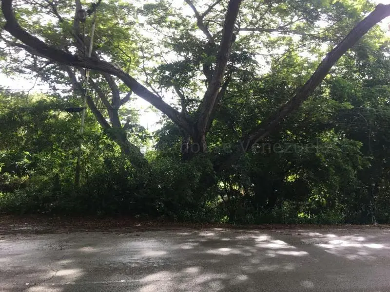 Terreno (Comercial) en Venta en La Asuncion, Nueva Esparta - 4