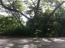 Vista 4