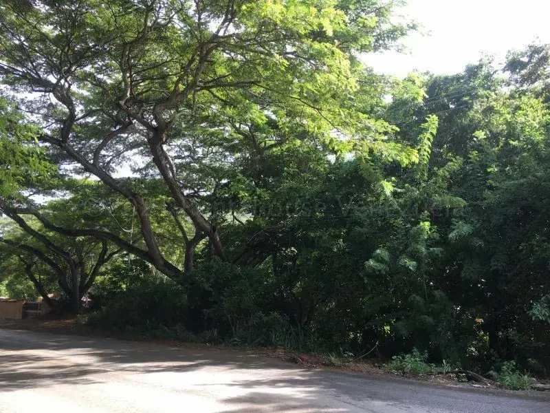 Terreno (Comercial) en Venta en La Asuncion, Nueva Esparta - 5